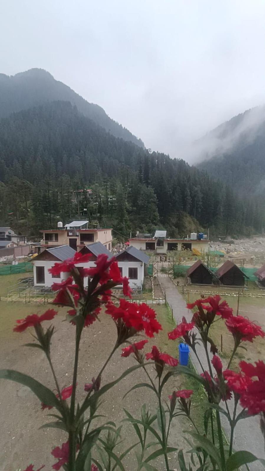 Himtrek Stay Kasol Exterior foto